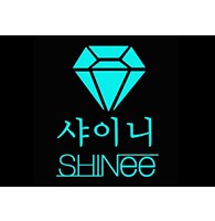 Shinee_Notebooks_Subcategory