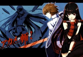 Akame_ga_Kill____588210641c811.jpg