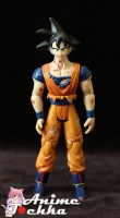 Dragon_Ball_Z____53a89d4f5a666.jpg