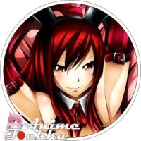 Fairy_Tail_______58adaafd37de5.jpg