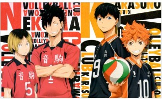 Haikyuu__________5877966c845f9.jpg