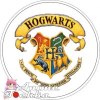 Harry_Potter_____583aedd89ac3f.jpg