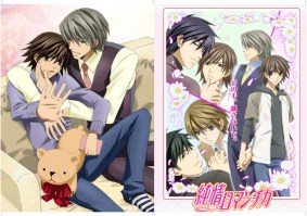 Junjou_Romantica_5303d09ae25c3.jpg