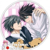 Junjou_Romantica_58ae09f573adc.jpg