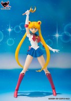Sailor_Moon______52b6cb998f83a.jpg