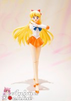 Sailor_Moon______562e321c85f8e.jpg