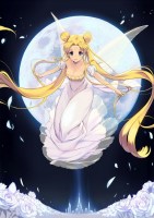 Sailor_Moon______564b2b2b1f157.jpg