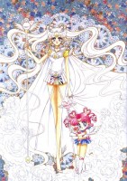 Sailor_Moon______57ce53a4e3fb9.jpg