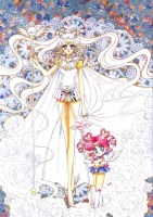Sailor_Moon______57ce53a4e3fb9.jpg