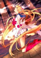 Sailor_Moon______57ce53d7bc3b4.jpg