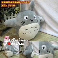 Totoro___________566b70dcc314e.jpg