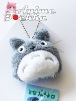 Totoro___________570177bed3cf7.jpg