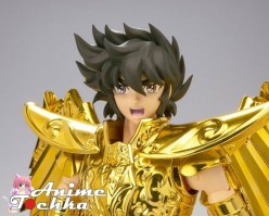 Saint_Seiya______4f03449b07396.jpg